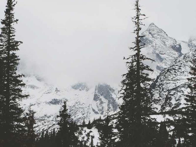 abg featured 4429 1757807143 crematório e Funerária