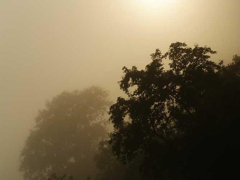 abg featured 5911 1758492673 crematório e Funerária