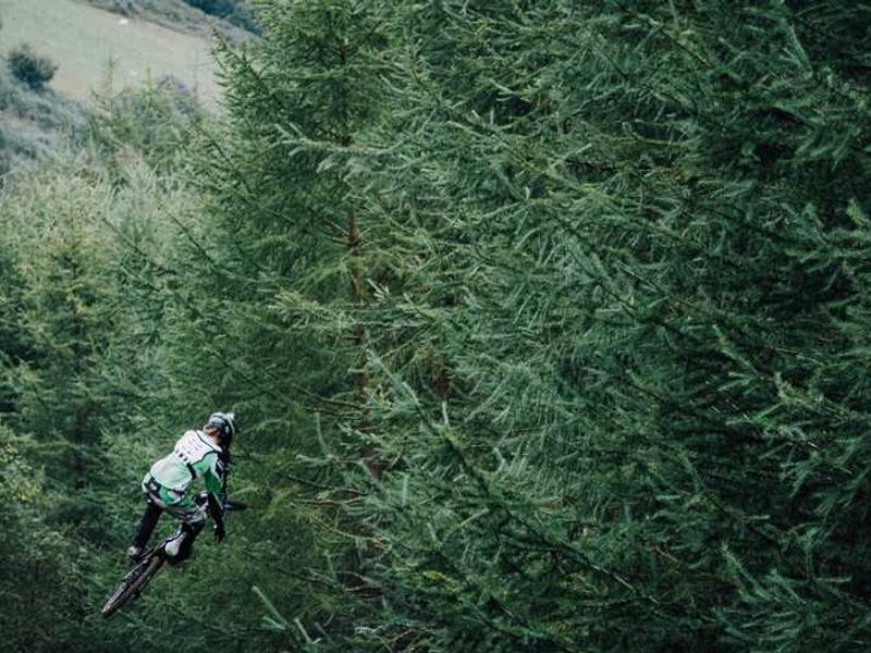 abg featured 5912 1758492736 crematório e Funerária