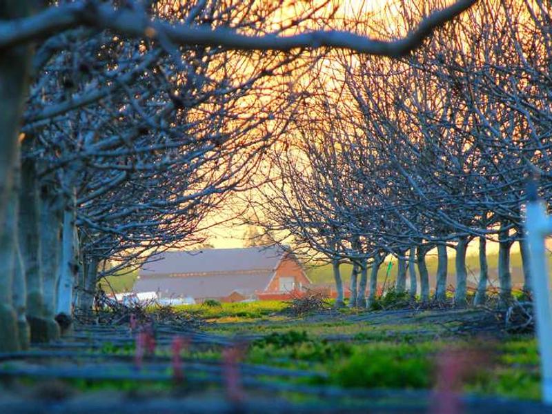 abg featured 6492 1758738656 crematório e Funerária