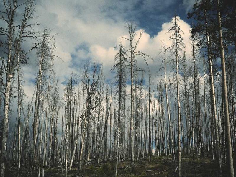 abg featured 7053 1758976259 crematório e Funerária