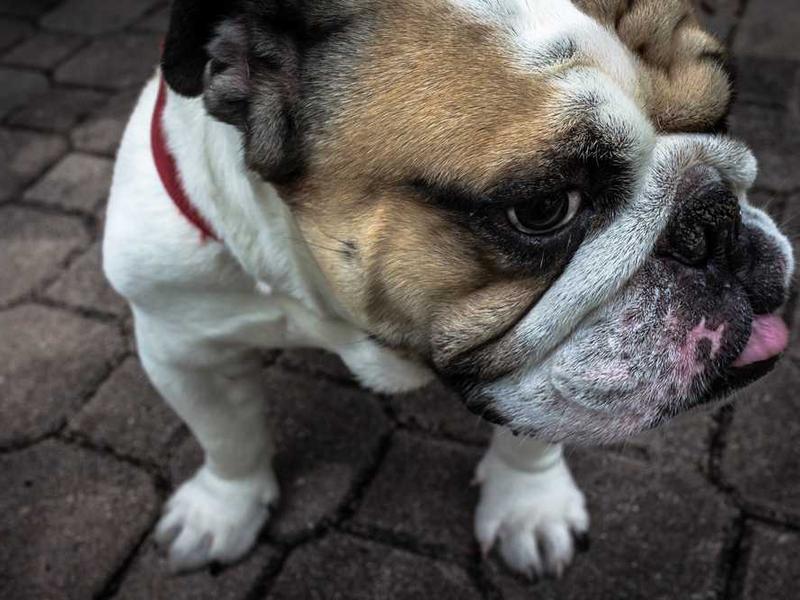 abg featured 10001 1760475098 crematório e Funerária