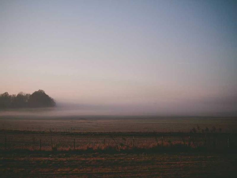 abg featured 10003 1760475244 crematório e Funerária