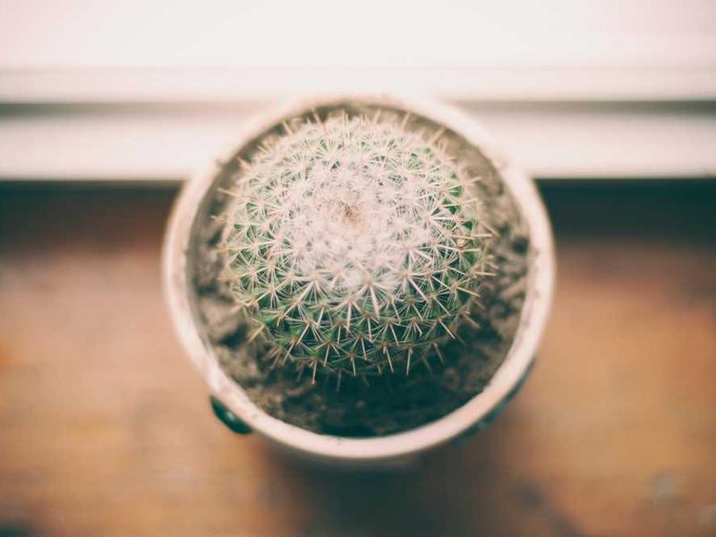 abg featured 10043 1760483119 crematório e Funerária