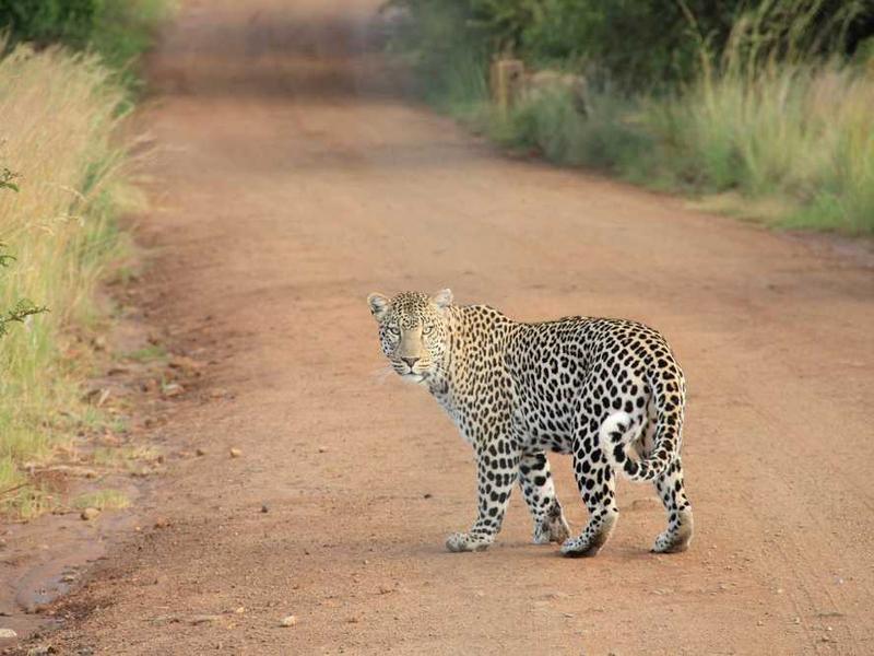 abg featured 10069 1760520147 crematório e Funerária