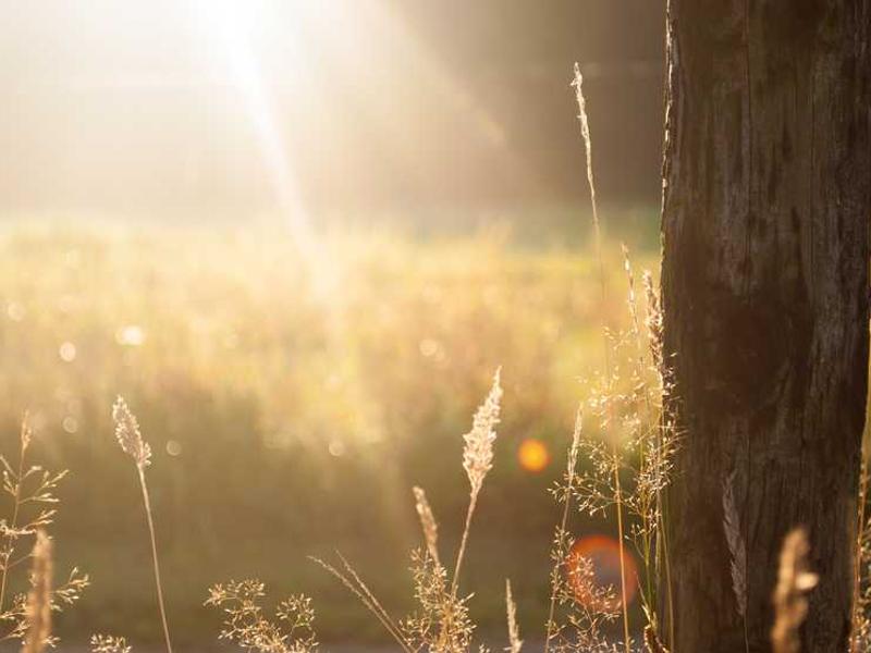 abg featured 10105 1760538478 crematório e Funerária
