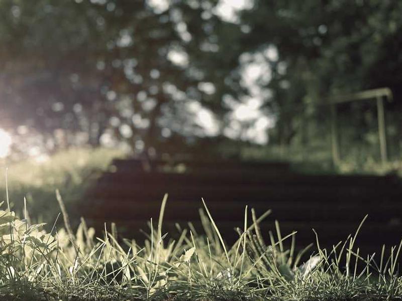 abg featured 10117 1760542582 crematório e Funerária