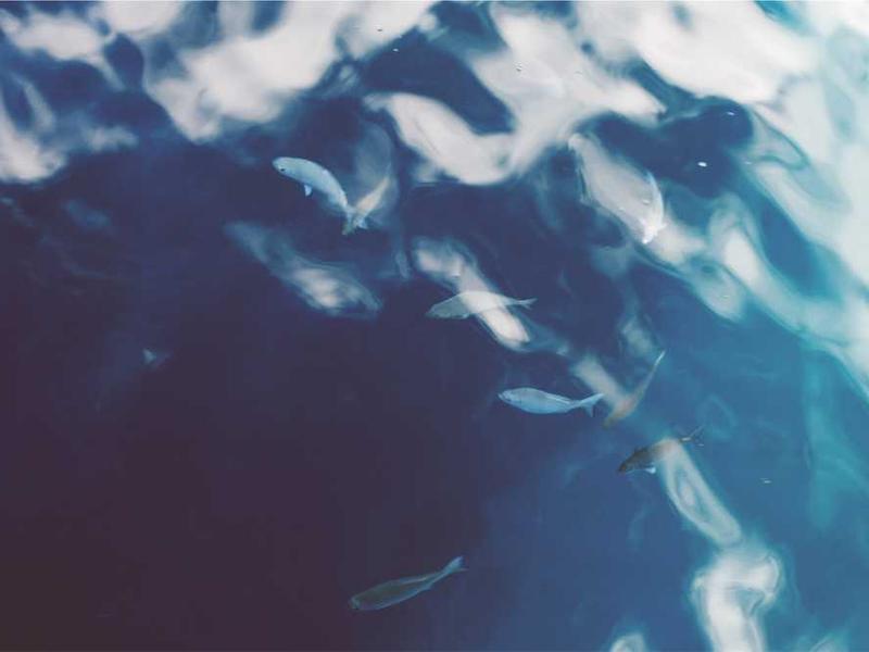 abg featured 10179 1760555119 crematório e Funerária