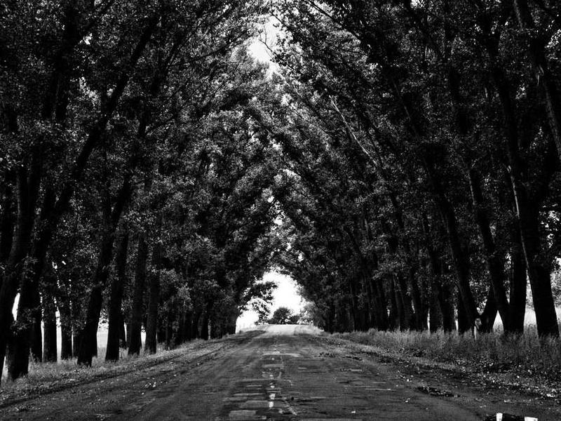 abg featured 10252 1760566821 crematório e Funerária