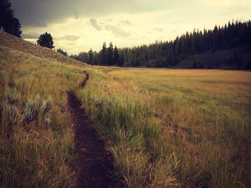 abg featured 10284 1760604210 crematório e Funerária