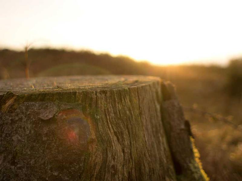 abg featured 10296 1760612133 crematório e Funerária