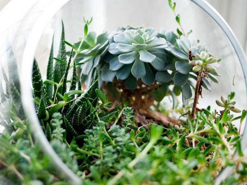 abg featured 10342 1760629524 crematório e Funerária