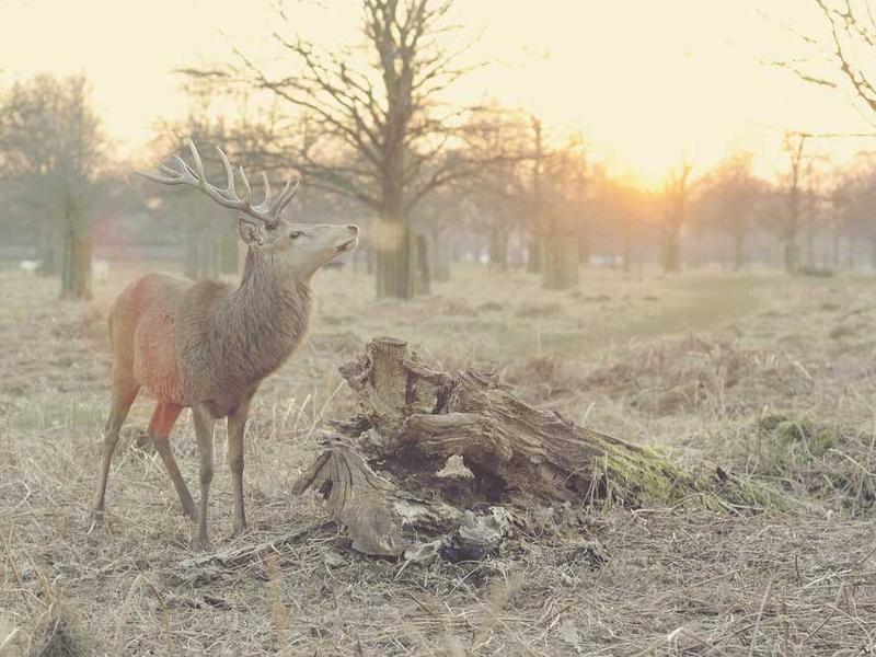 abg featured 10406 1760643784 crematório e Funerária