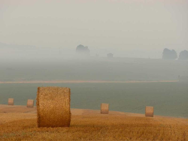 abg featured 10524 1760699021 crematório e Funerária