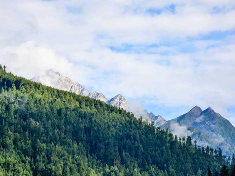 abg featured 10544 1760705803 crematório e Funerária