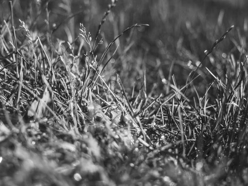 abg featured 10566 1760714155 crematório e Funerária