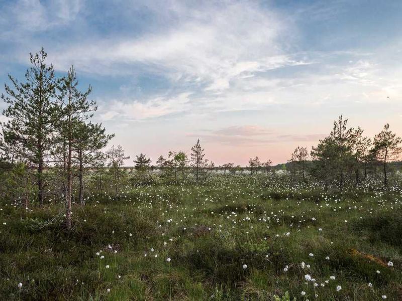 abg featured 10576 1760716236 crematório e Funerária