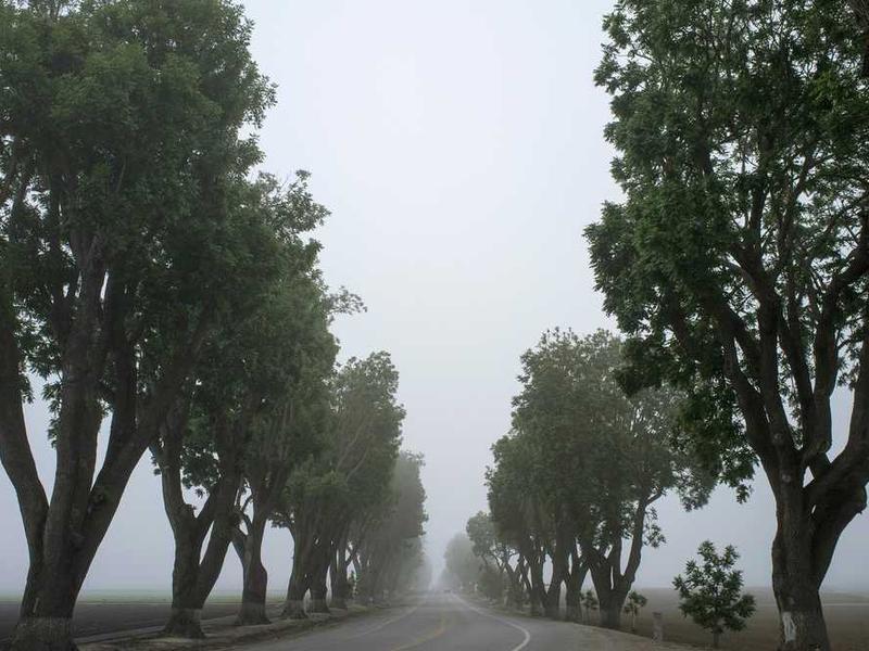 abg featured 10612 1760724027 crematório e Funerária