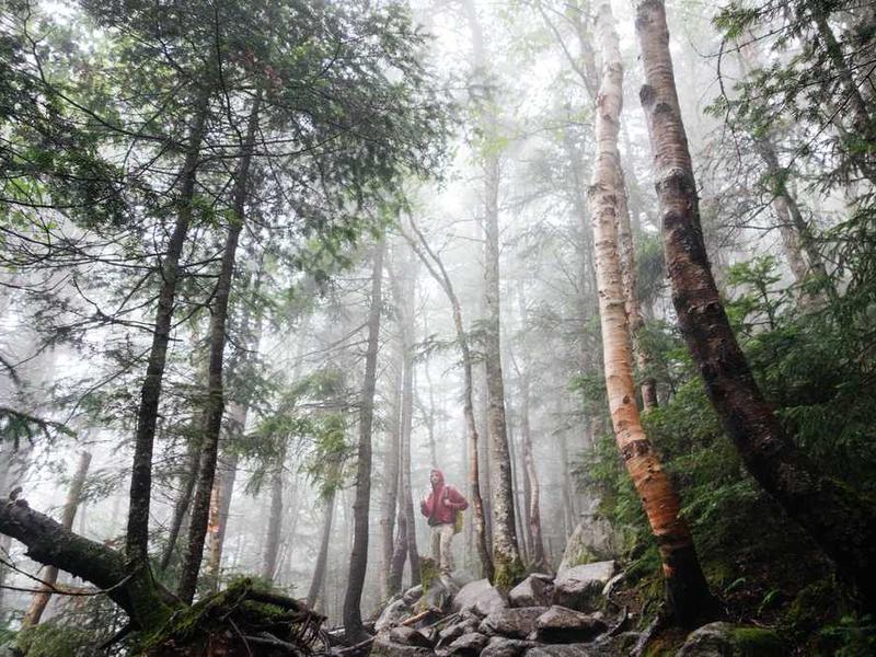 abg featured 10682 1760735726 crematório e Funerária