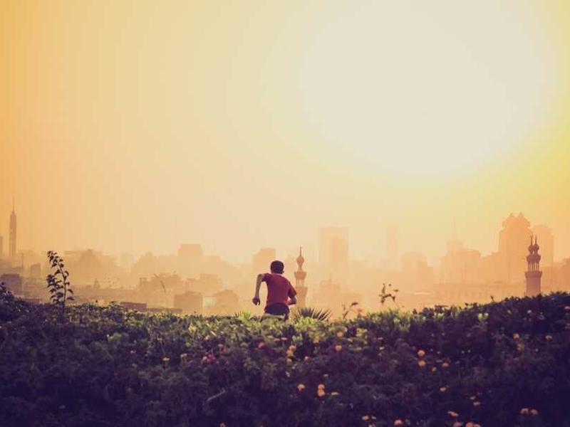 abg featured 10786 1760799644 crematório e Funerária