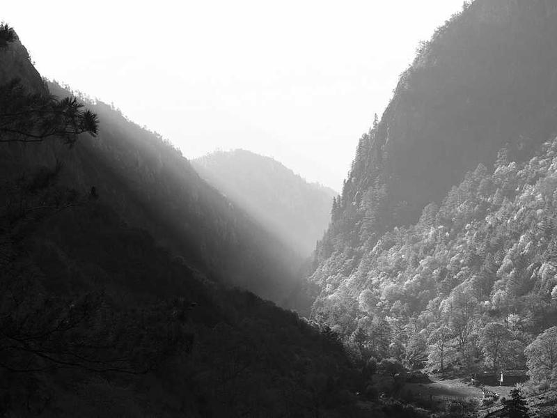 abg featured 10866 1760817915 crematório e Funerária