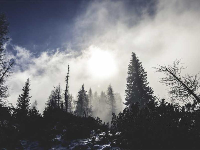 abg featured 10886 1760820920 crematório e Funerária