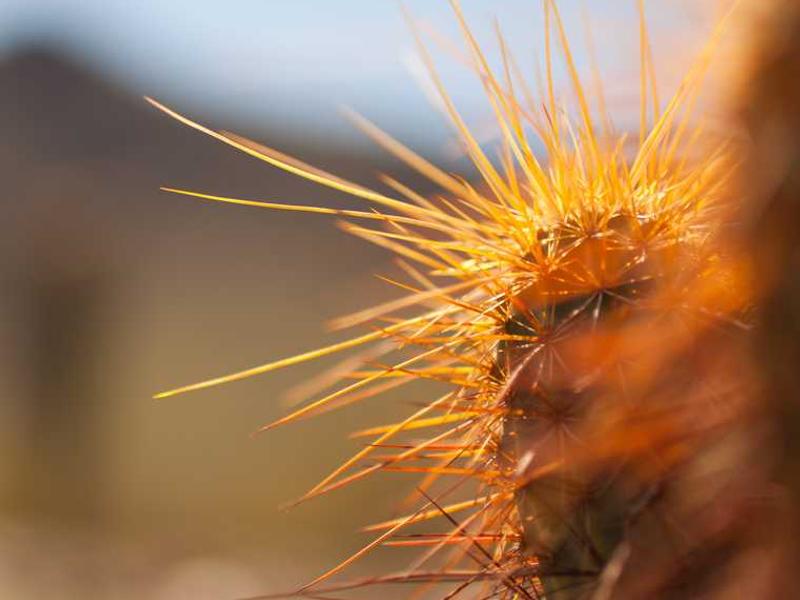 abg featured 10958 1760865735 crematório e Funerária