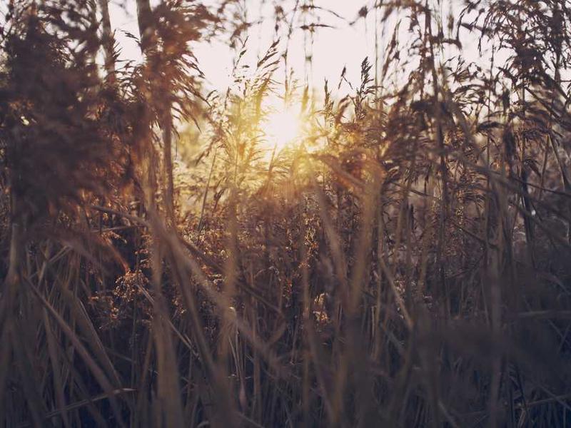 abg featured 10984 1760877877 crematório e Funerária