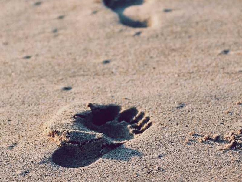 abg featured 11050 1760896521 crematório e Funerária