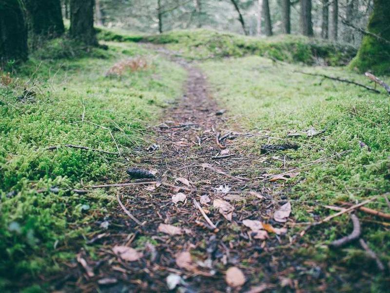 abg featured 11054 1760896843 crematório e Funerária