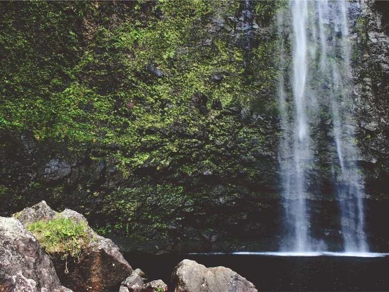 abg featured 11056 1760896865 crematório e Funerária