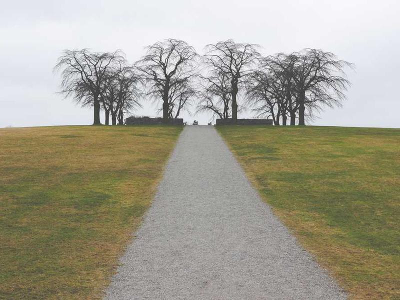 abg featured 11090 1760903143 crematório e Funerária