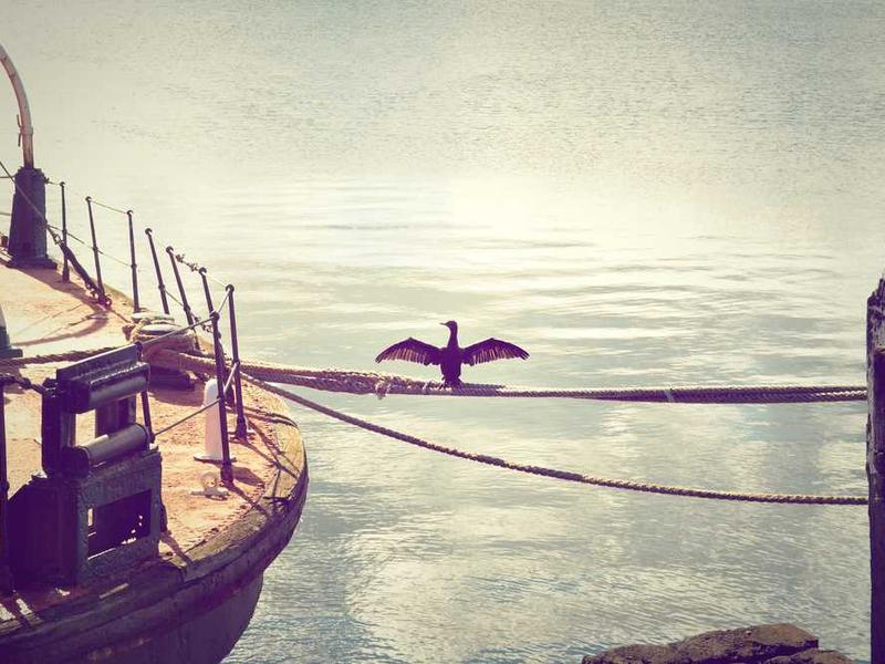 abg featured 11104 1760905459 crematório e Funerária