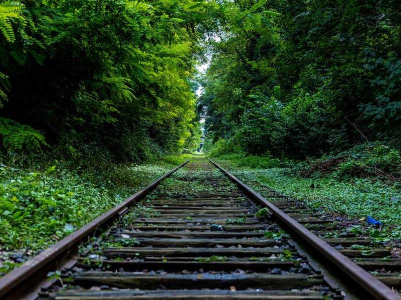 abg featured 11158 1760915158 crematório e Funerária