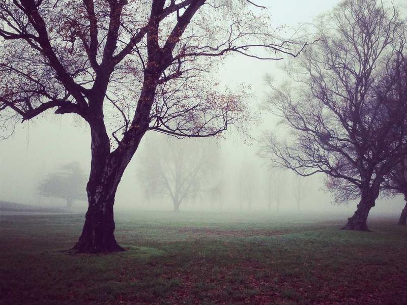 abg featured 11232 1760974538 crematório e Funerária