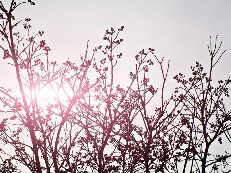 abg featured 11246 1760978416 crematório e Funerária