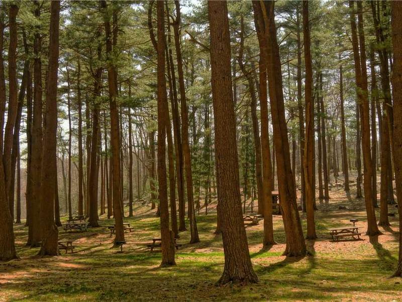 abg featured 11398 1761037439 crematório e Funerária