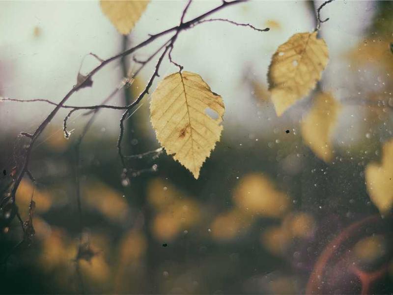 abg featured 11500 1761072940 crematório e Funerária