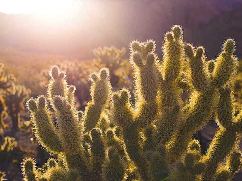 abg featured 11540 1761079525 crematório e Funerária