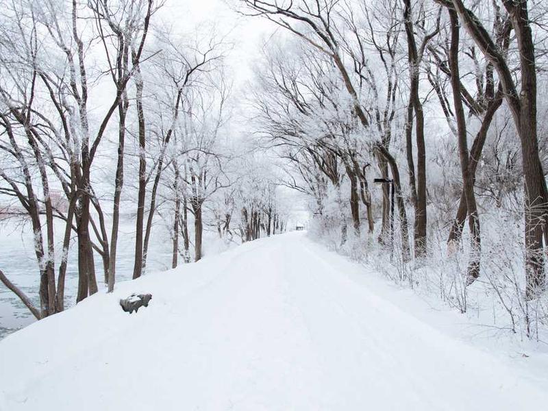 abg featured 11598 1761116015 crematório e Funerária