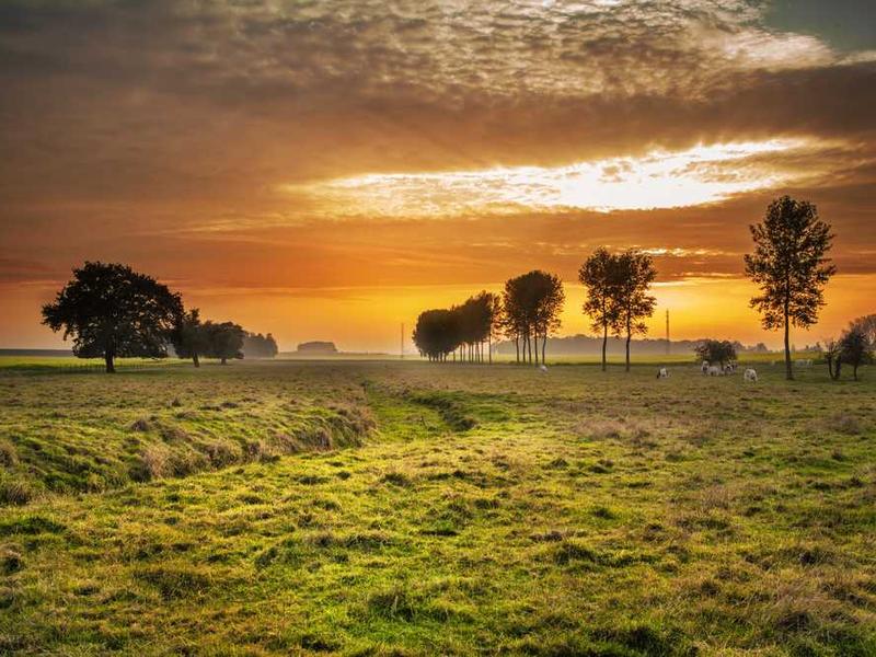 abg featured 11634 1761139831 crematório e Funerária