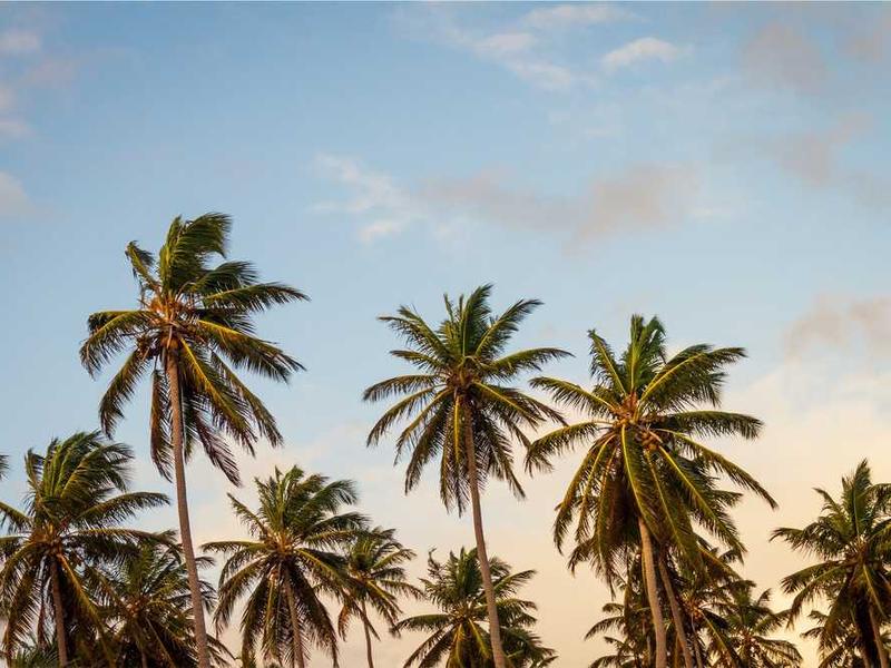 abg featured 11676 1761151222 crematório e Funerária