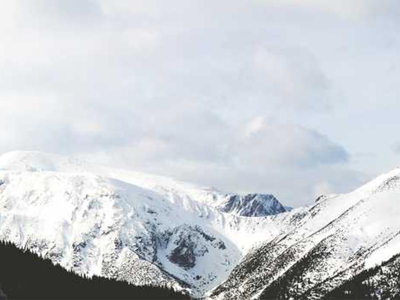 abg featured 11733 1761163634 crematório e Funerária