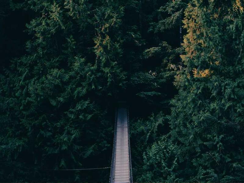 abg featured 11735 1761163830 crematório e Funerária