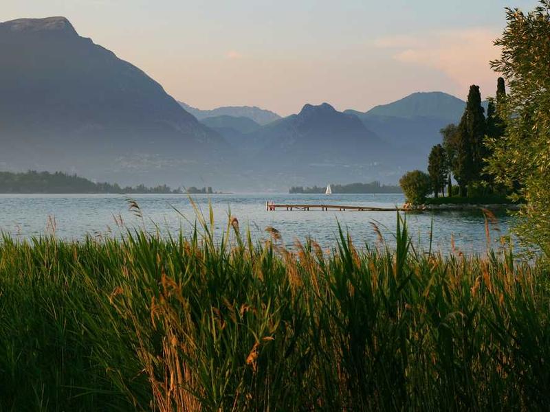 abg featured 11749 1761165322 crematório e Funerária