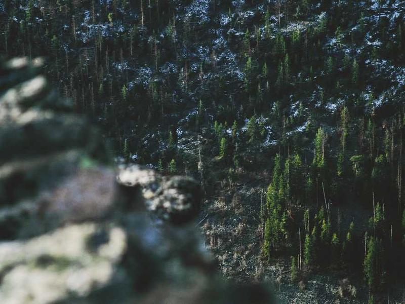 abg featured 11767 1761168326 crematório e Funerária