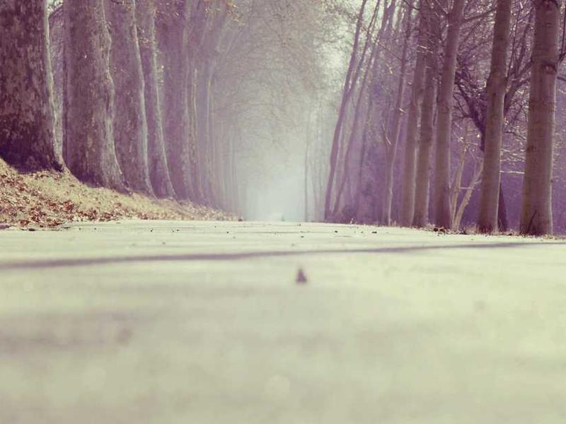 abg featured 11793 1761172224 crematório e Funerária