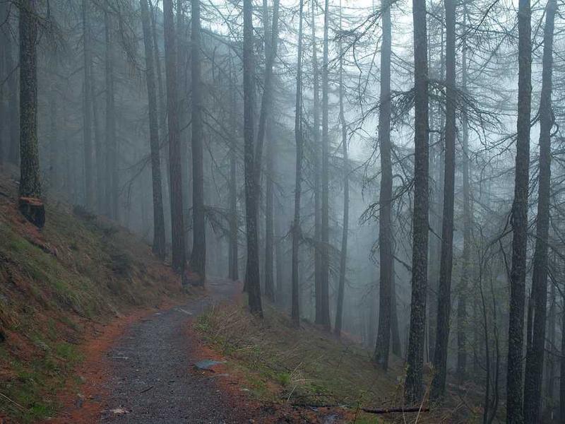 abg featured 11801 1761174026 crematório e Funerária