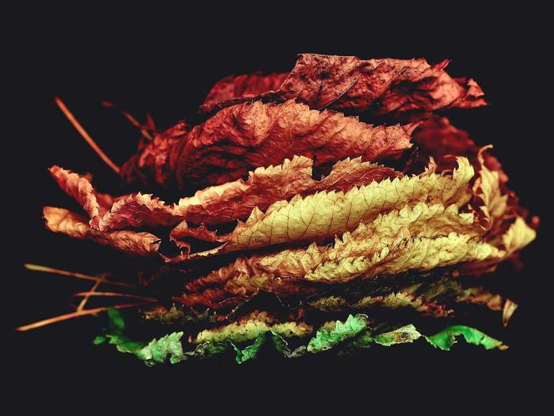 abg featured 11903 1761240676 crematório e Funerária