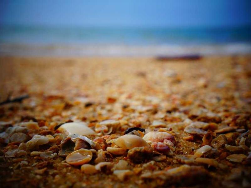 abg featured 11917 1761243561 crematório e Funerária